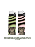 Gatitos enojados