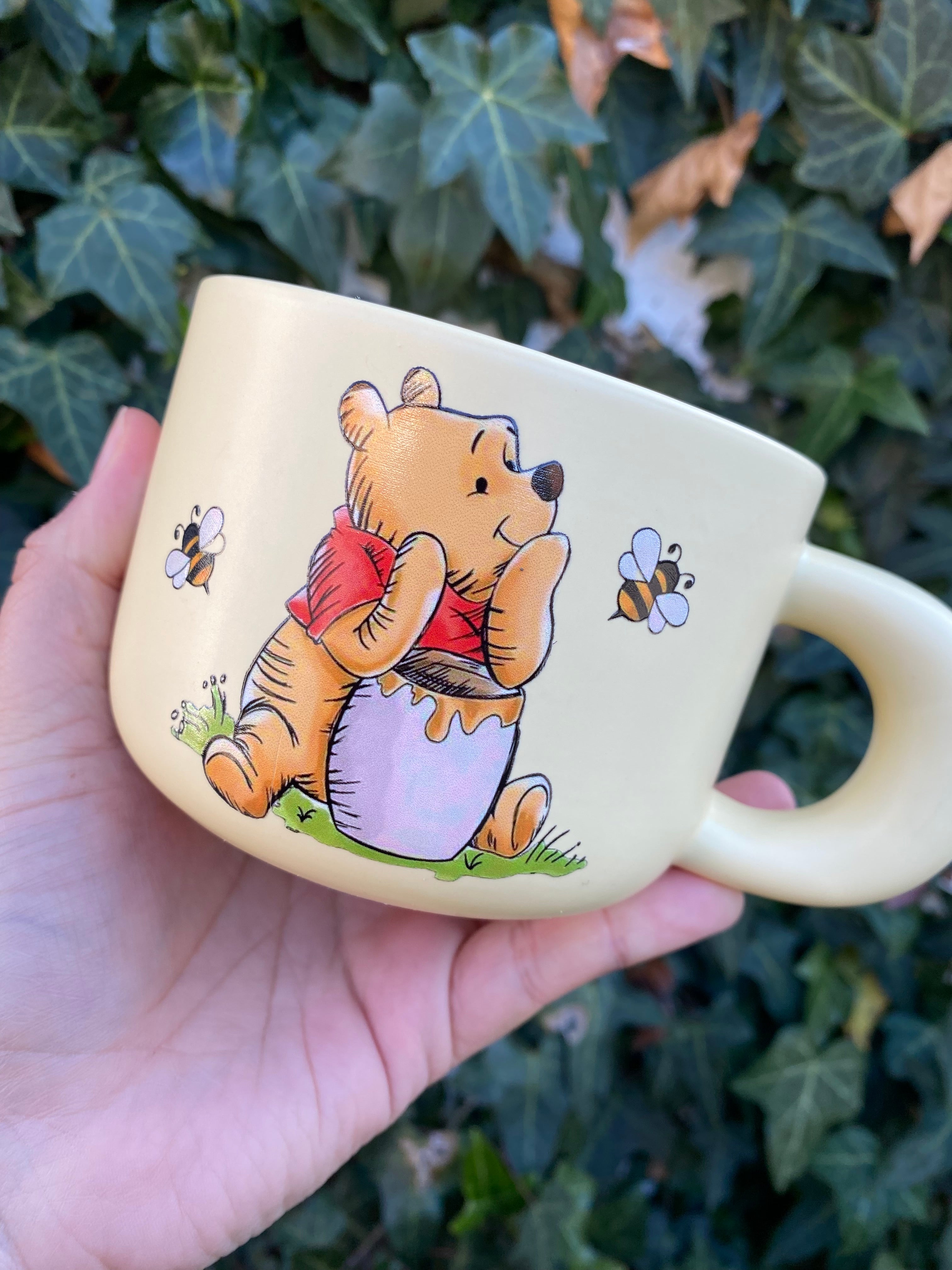 Winnie The Pooh pastel