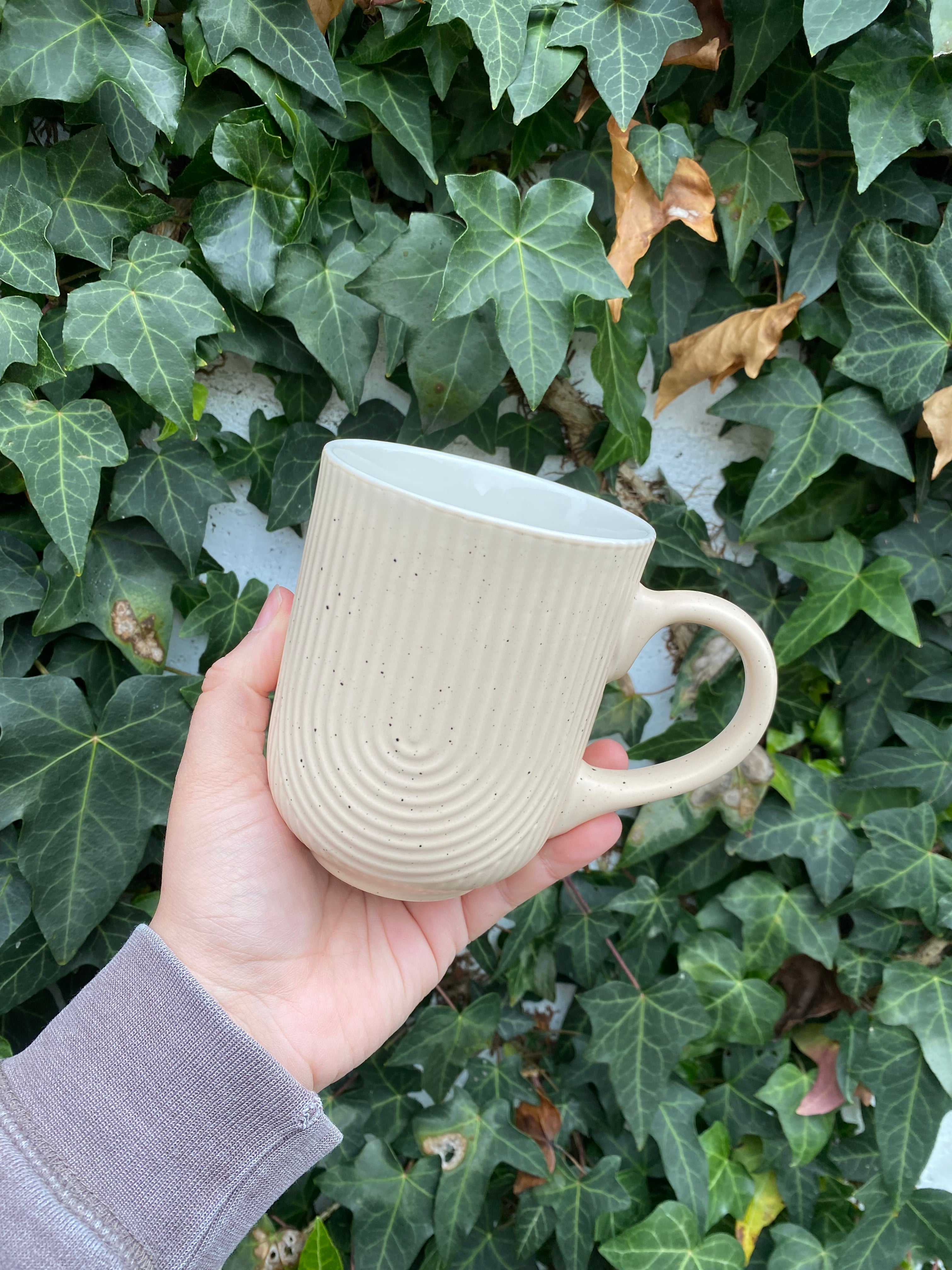 Taza romana