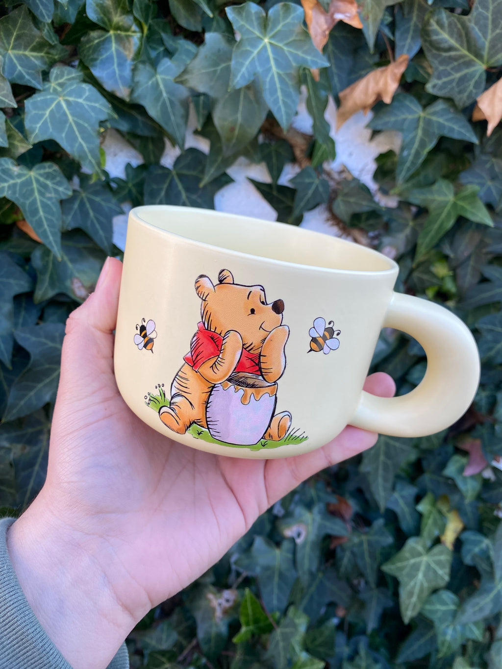Winnie The Pooh pastel