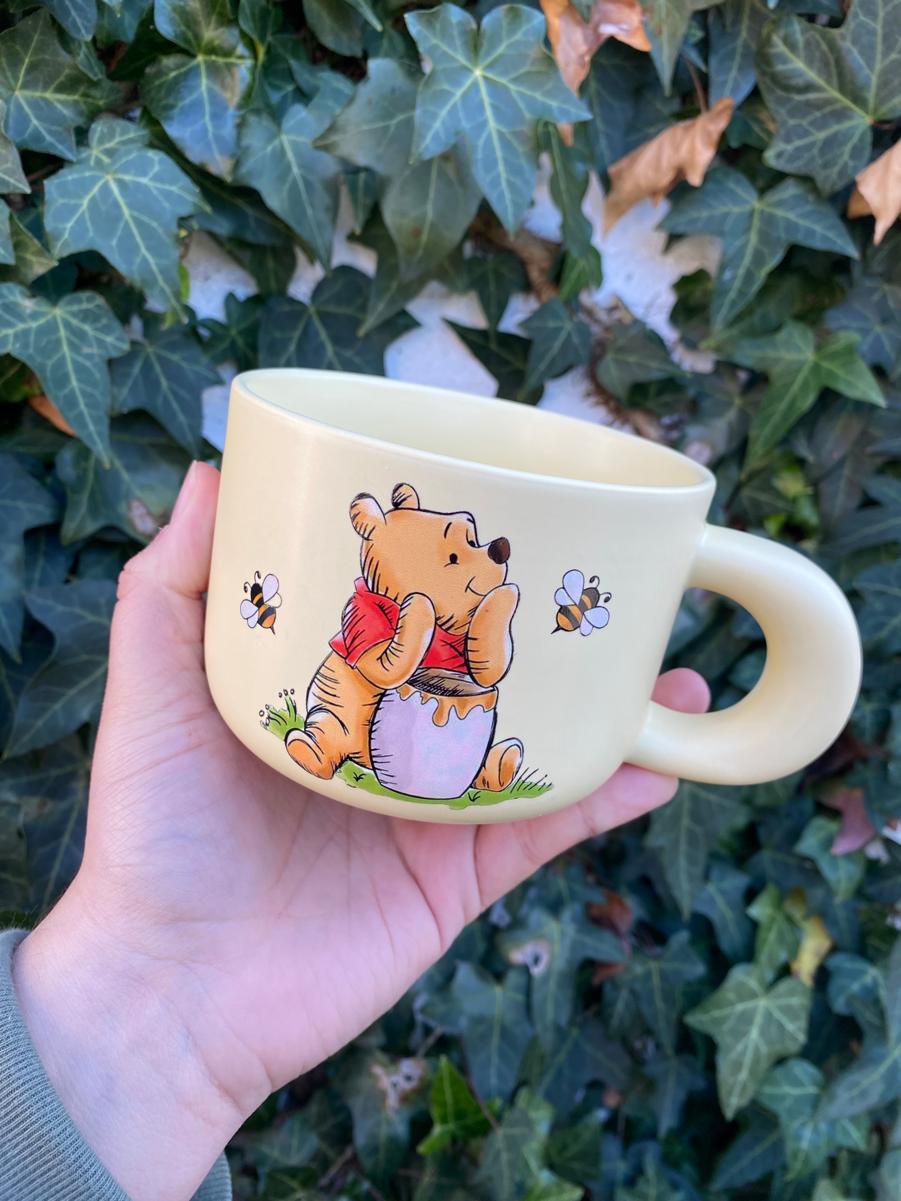 Winnie The Pooh pastel